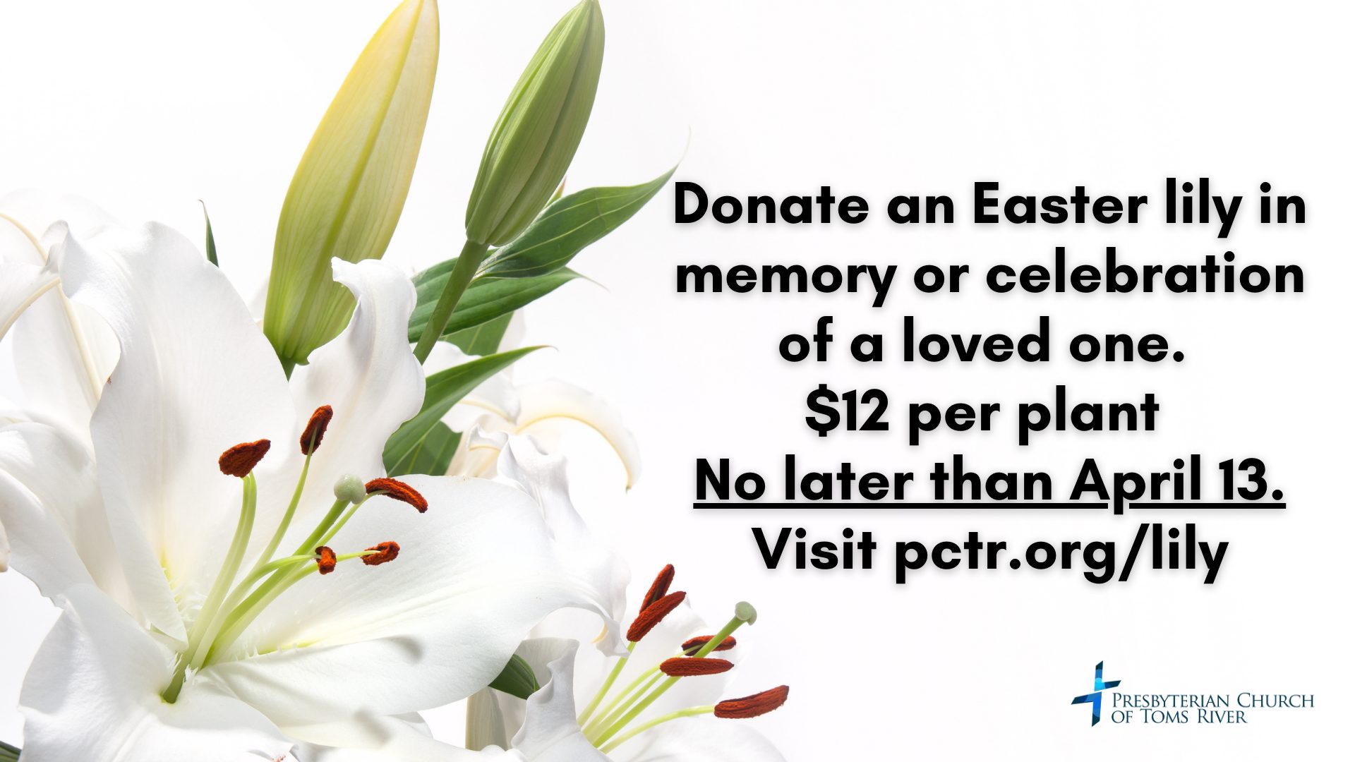 Easter Lily Slide